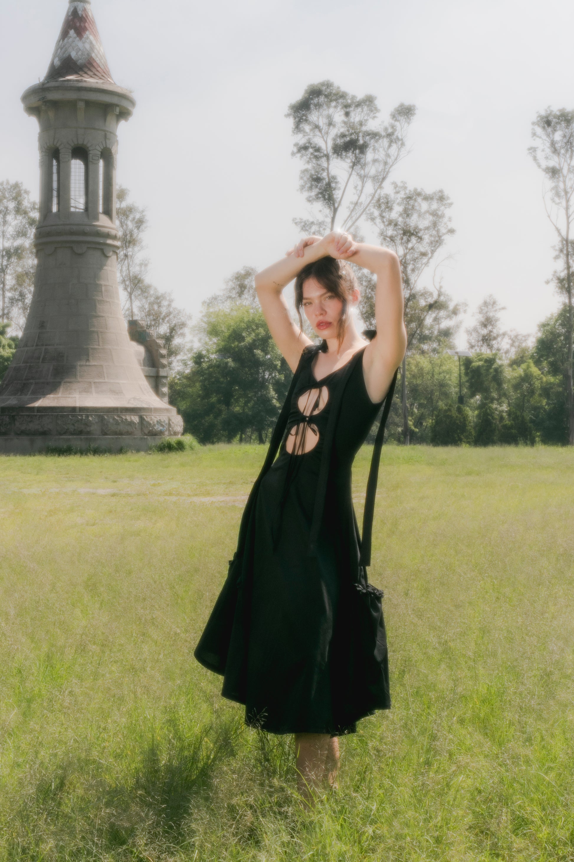Ara dress